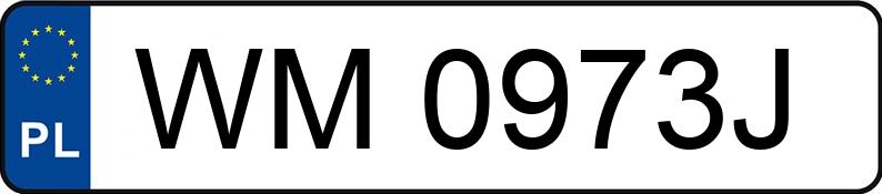 RegistreringsnummerWM 0973J har BMW 730 Diesel DPF MR`08 E4 FO1/FO2 Aut. - WM0973J