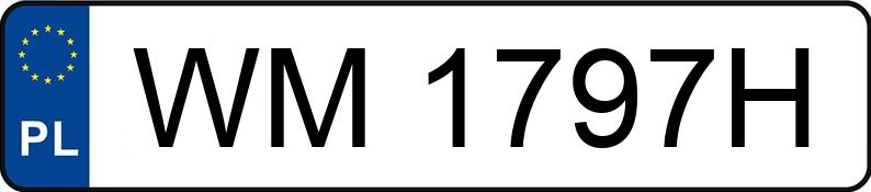 Numer rejestracyjny WM 1797H posiada VOLVO S60 - WM1797H