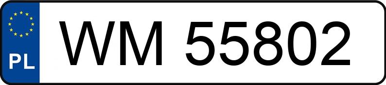Numer rejestracyjny WM 55802 posiada VOLKSWAGEN VENTO 1.9 D - WM55802