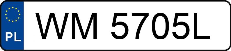 Numer rejestracyjny WM 5705L posiada VOLKSWAGEN GOLF IV 1.9 TDI - WM5705L