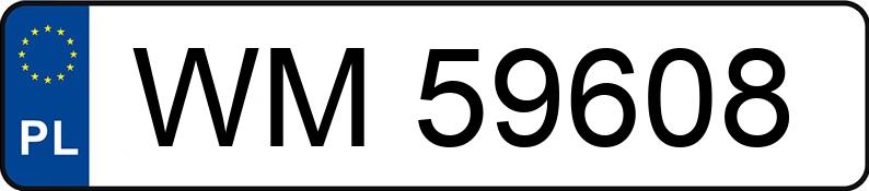 Numer rejestracyjny WM 59608 posiada CHRYSLER VOYAGER 2,5 TD - WM59608