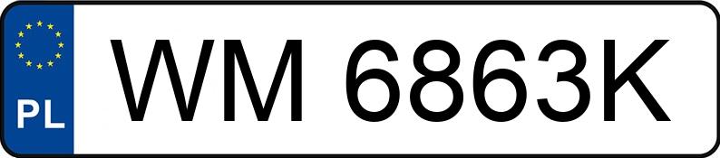 Numer rejestracyjny WM 6863K posiada SEAT Ibiza 1.4 MR`02 E3 6L Fresc - WM6863K