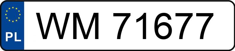 Numer rejestracyjny WM 71677 posiada RENAULT Kangoo Diesel MR`98 1.8t Express RL - WM71677