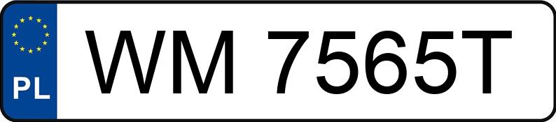 Numer rejestracyjny WM 7565T posiada TOYOTA RAV4 - WM7565T