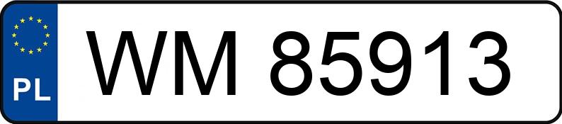 Numer rejestracyjny WM 85913 posiada DAEWOO / FSO Lanos 1.6 Kat. MR`97 E3 SX - WM85913