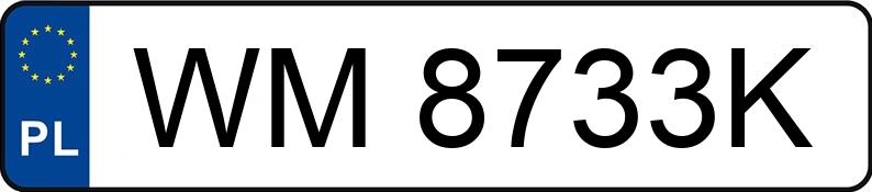 Numer rejestracyjny WM 8733K posiada BMW 320I - WM8733K