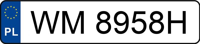 Numer rejestracyjny WM 8958H posiada VOLKSWAGEN Golf IV Variant 1.9 TDI MR`97 E3 Basis 4MOTION - WM8958H