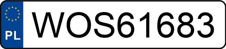 Numer rejestracyjny WOS 61683 posiada FORD GALAXY - WOS61683