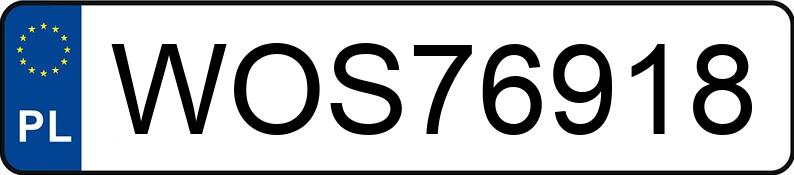 Numer rejestracyjny WOS 76918 posiada BMW 318 I - WOS76918