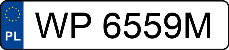 Numer rejestracyjny WP 6559M posiada BMW 318 I - WP6559M Numer rejestracyjny WP 6559M posiada BMW 318 I - WP6559M