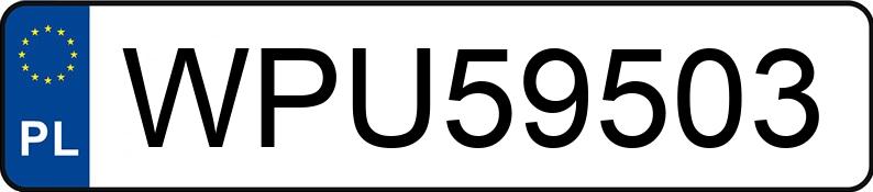 Numer rejestracyjny WPU 59503 posiada FORD FT 150 2.0 Kat. MR`95 2.8t FT 150 2.0 Kat. MR`95 2.8t - WPU59503