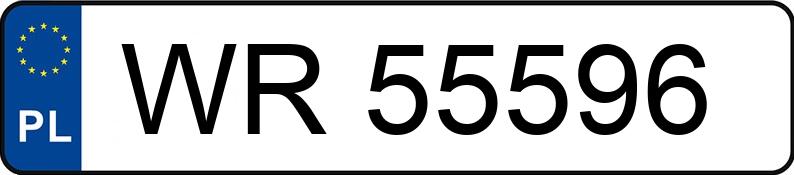 Numer rejestracyjny WR 55596 posiada FORD Sierra 2.0 Kat. LX - WR55596