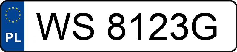 Numer rejestracyjny WS 8123G posiada FORD Escape MR`17 SE Sport Utility - WS8123G