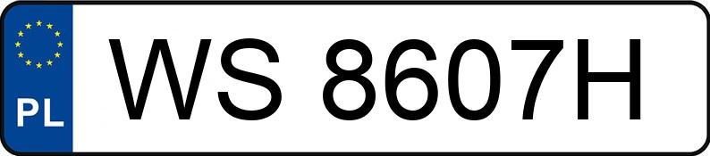 The registration number WS 8607H has HONDA Accord 2.0 MR`08 E4 Executive - WS8607H