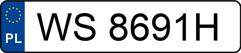 Numer rejestracyjny WS 8691H posiada TOYOTA COROLLA - WS8691H