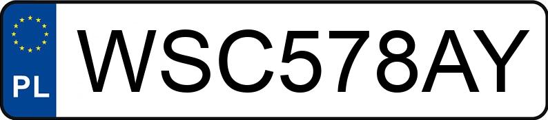 Numer rejestracyjny WSC 578AY posiada TEREX-DEMAG  - WSC578AY