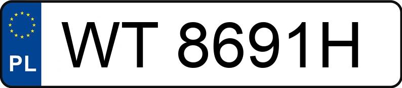 Numer rejestracyjny WT 8691H posiada BMW 3ER REIHE - WT8691H