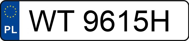 Numer rejestracyjny WT 9615H posiada MERCEDES-BENZ E 220 D - WT9615H