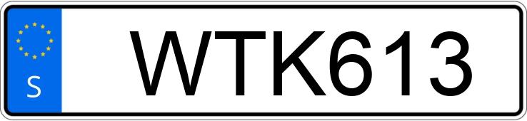 Numer rejestracyjny WTK613 posiada Mercedes-Benz Vito / Mixto