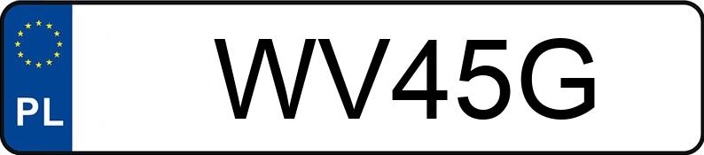 Numer rejestracyjny WV 45G posiada MERCEDES-BENZ 124 - WV45G
