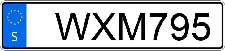 Numer rejestracyjny WXM795 posiada Ford Focus