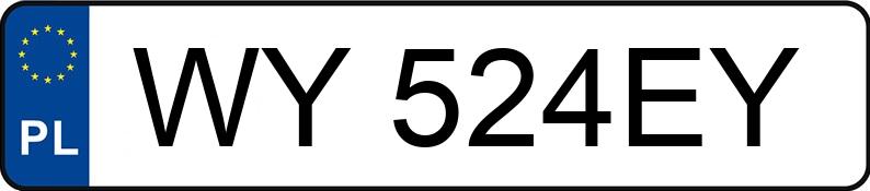 Numer rejestracyjny WY 524EY posiada FIAT DUCATO - WY524EY Numer rejestracyjny WY 524EY posiada FIAT DUCATO - WY524EY