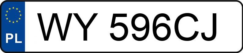 Numer rejestracyjny WY 596CJ posiada BMW 318 - WY596CJ