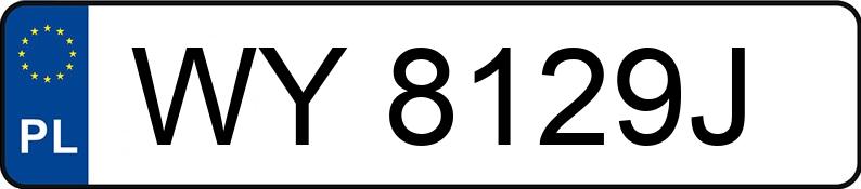 Numer rejestracyjny WY8129J posiada BMW 528i Touring Kat. MR`95 E39 528i Touring Kat. MR`95 E39