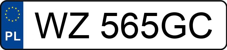 Numer rejestracyjny WZ 565GC posiada FORD Focus 2.0 MR`08 E4 Silver X - WZ565GC