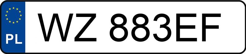 Numer rejestracyjny WZ 883EF posiada RENAULT MASTER - WZ883EF