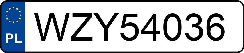 Numer rejestracyjny WZY 54036 posiada VOLKSWAGEN LT 2,5 TDI - WZY54036