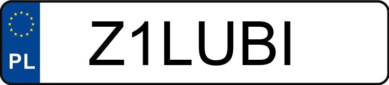 Numer rejestracyjny Z1LUBI posiada BMW X3 Diesel MR`10 E5 F25 xDrive20d