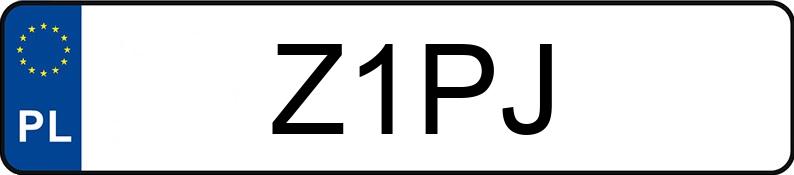 Numer rejestracyjny Z1PJ posiada BMW 316I Numer rejestracyjny Z1PJ posiada BMW 316I