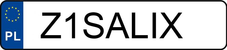 Numer rejestracyjny Z1SALIX posiada MERCEDES-BENZ V 280