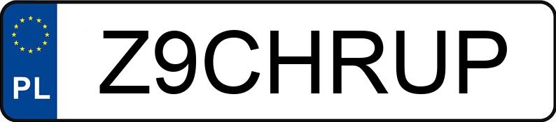 Numer rejestracyjny Z9CHRUP posiada DAIMLERCHRYSLER JEEP CHEROKEE