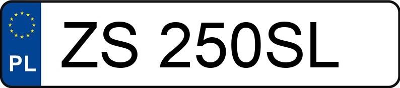 Numer rejestracyjny ZS 250SL posiada SEAT IBIZA - ZS250SL