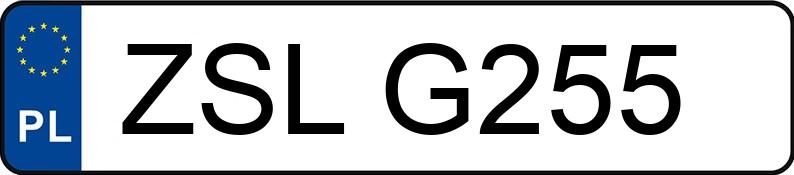 Numer rejestracyjny ZSL G255 posiada FIAT PUNTO - ZSLG255