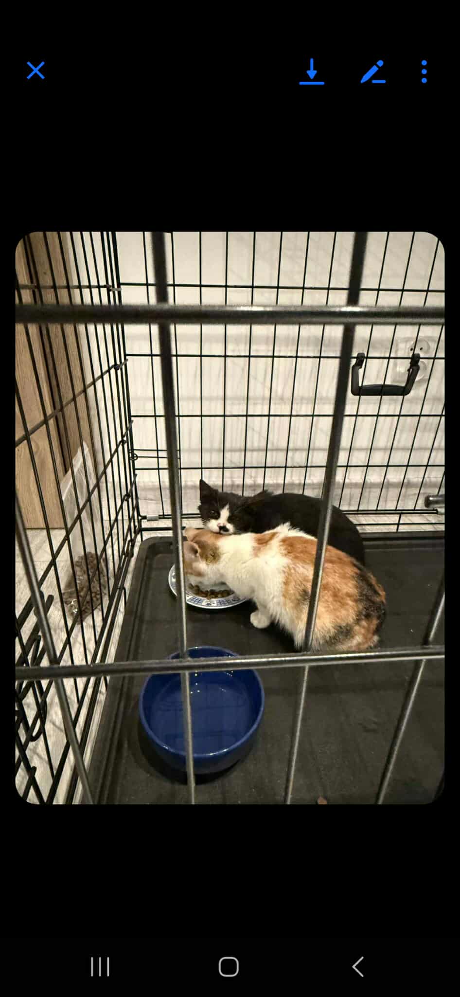 Veipirat i et kjøretøy med registreringsnummer FZI75334