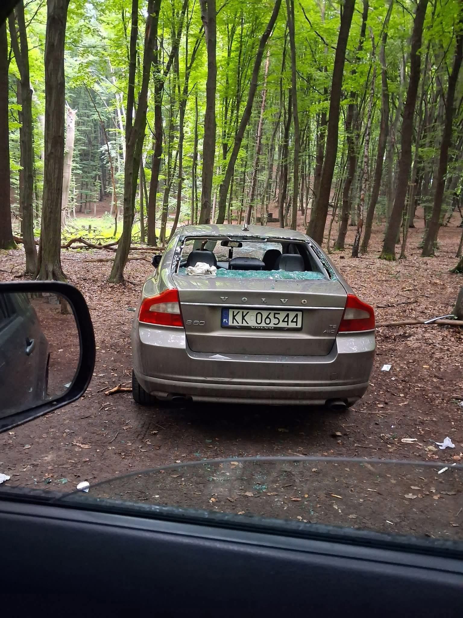 Może ktoś szuka