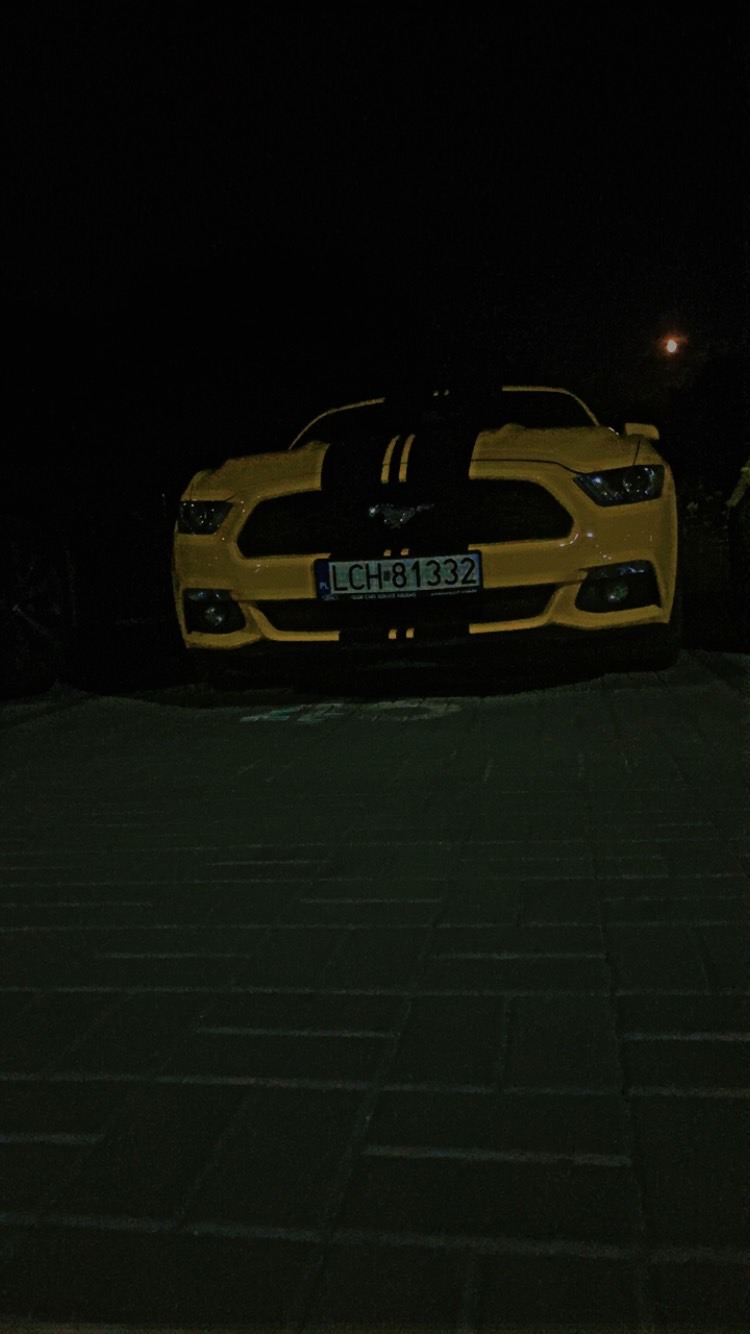 Piękna bestia pozdrawiam kierowcę