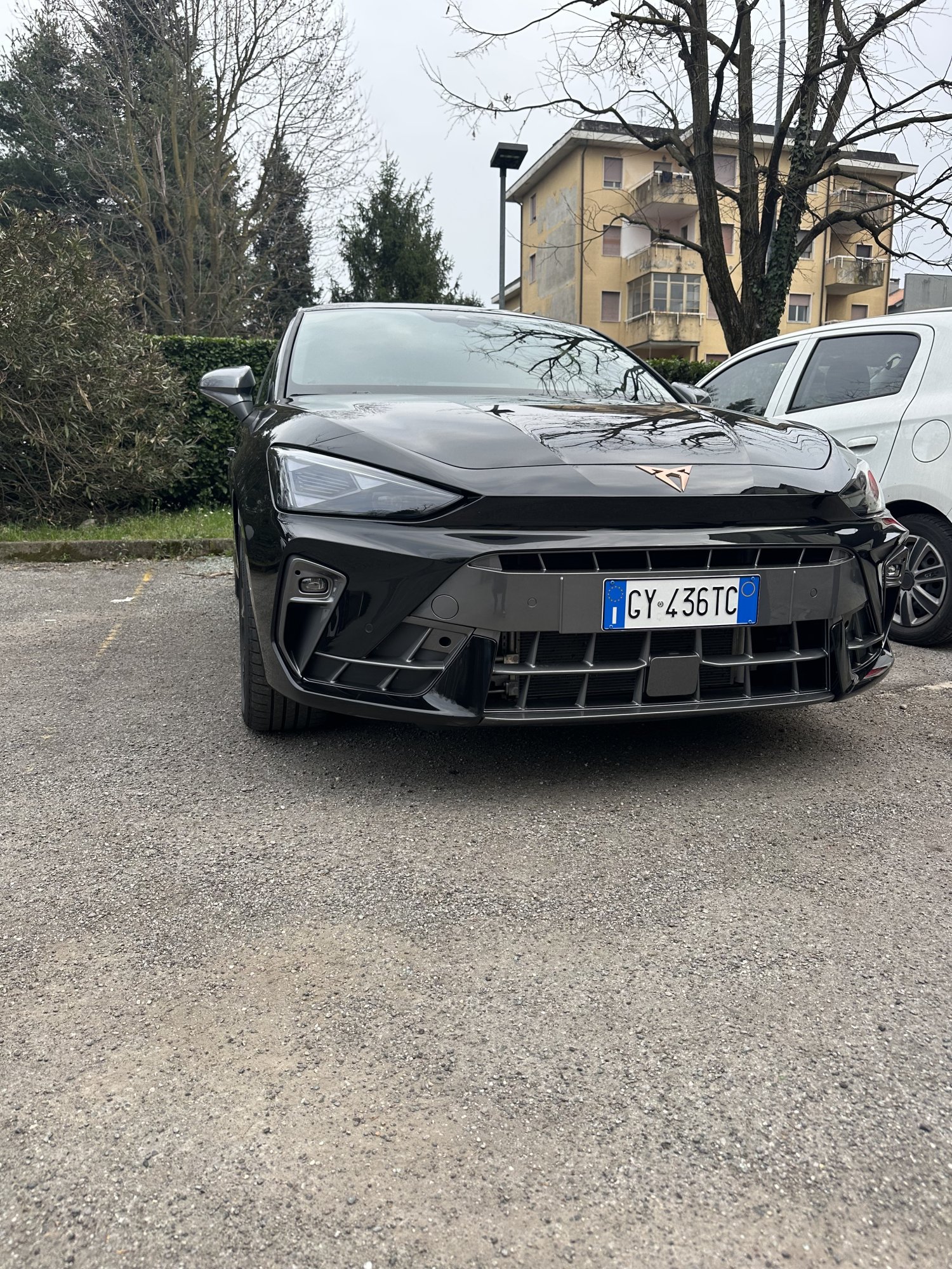 Numer rejestracyjny GY436TC posiada CUPRA Leon