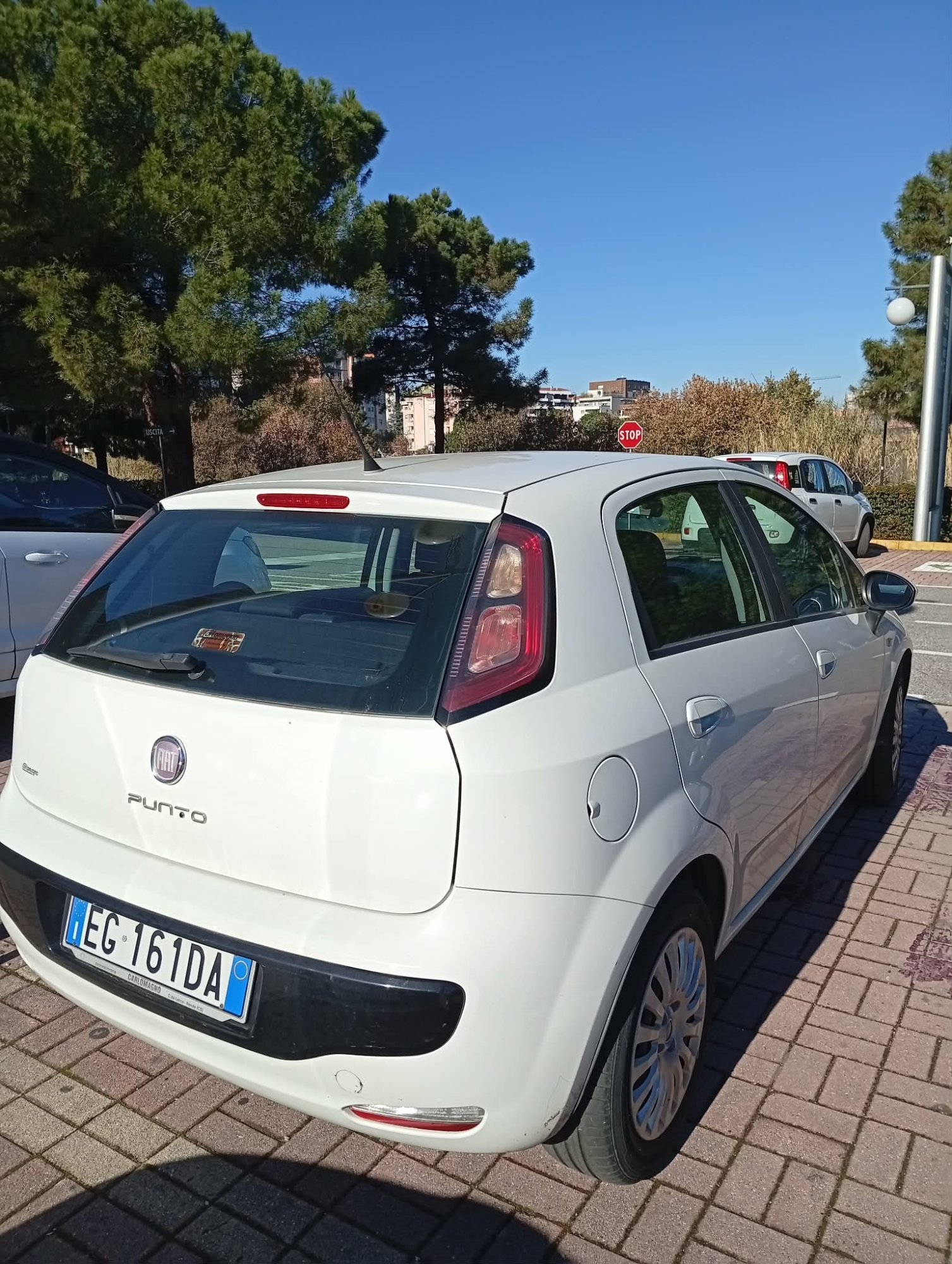 Numer rejestracyjny EG161DA posiada FIAT Punto Evo Numer rejestracyjny EG161DA posiada FIAT Punto Evo