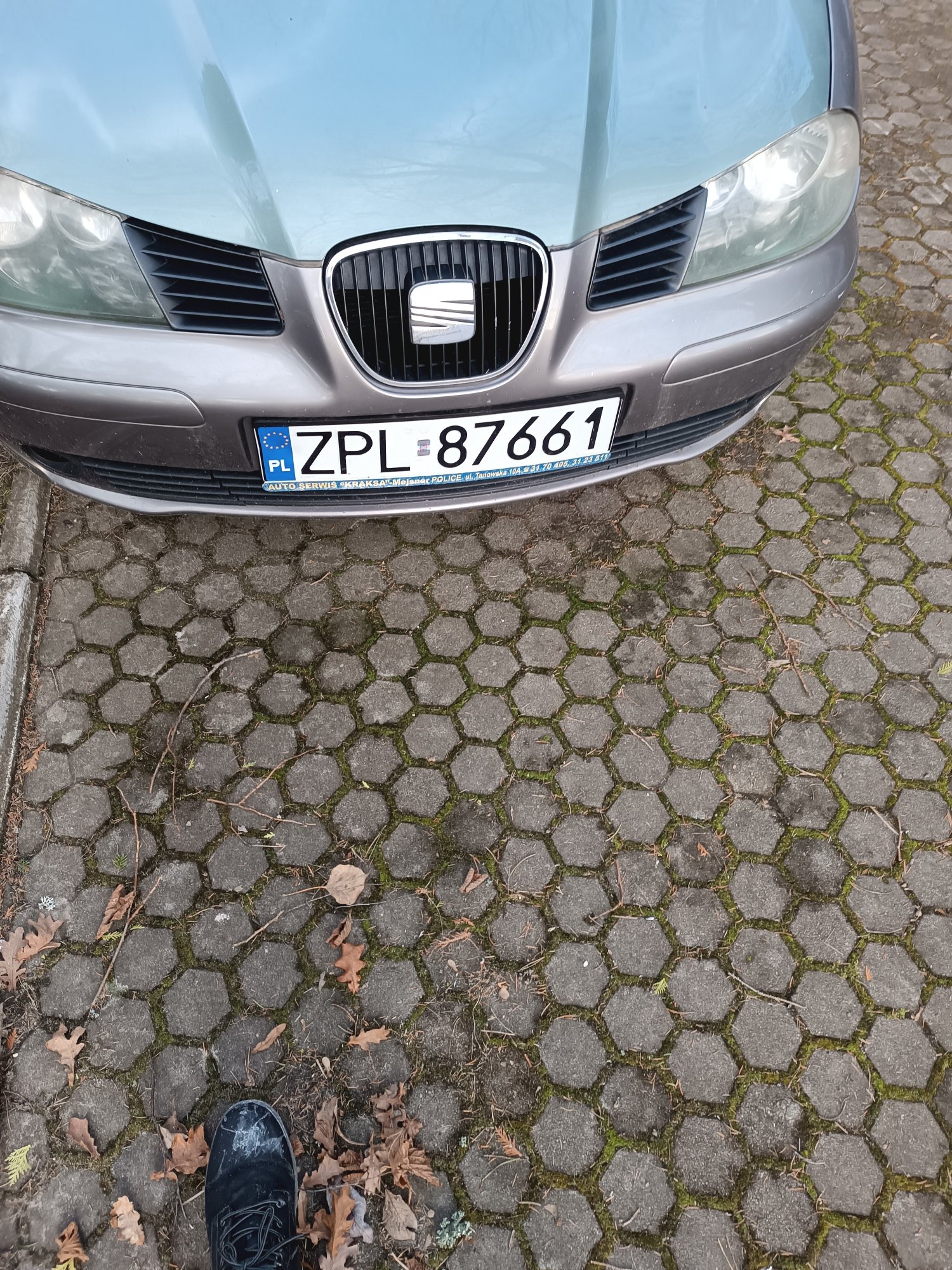 Numer rejestracyjny ZPL 87661 posiada SEAT Ibiza 1.4 MR`02 E3 6L Fresc - ZPL87661 Numer rejestracyjny ZPL 87661 posiada SEAT Ibiza 1.4 MR`02 E3 6L Fresc - ZPL87661