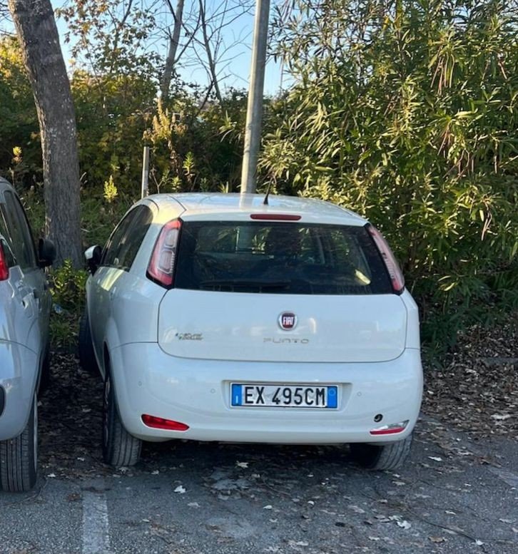 Numer rejestracyjny EX495CM posiada FIAT Punto 4a serie