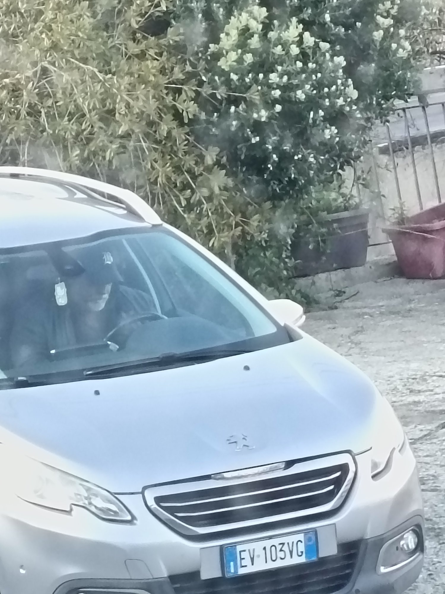 Numer rejestracyjny EV103VC posiada RENAULT Trafic 3a serie Numer rejestracyjny EV103VC posiada RENAULT Trafic 3a serie