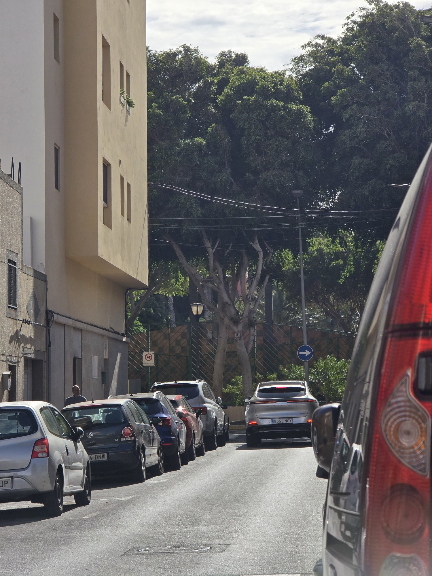 Numer rejestracyjny 1653NGV posiada JAC IEV7S