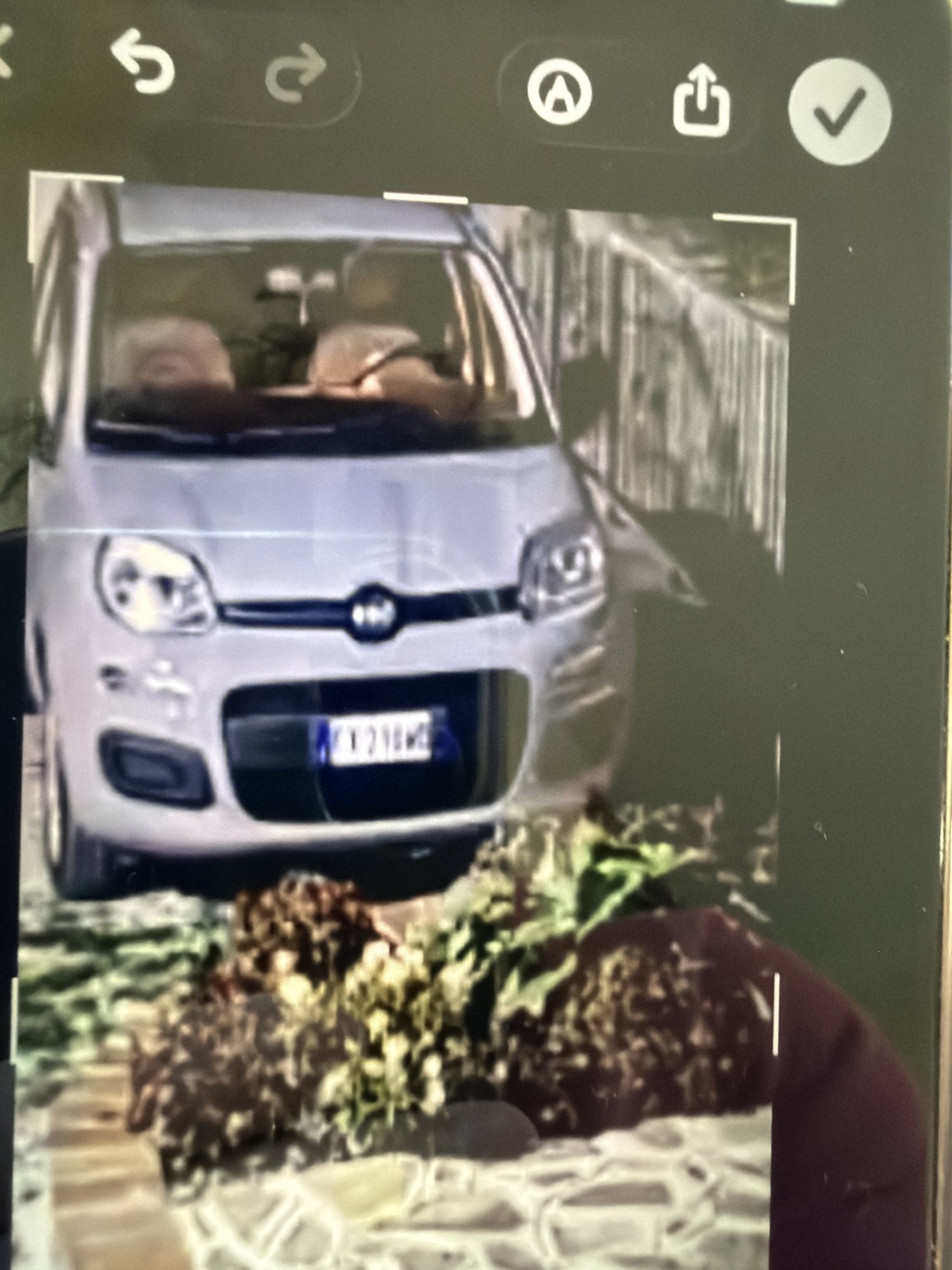 Numer rejestracyjny AK213MC posiada FIAT Punto 1a serie