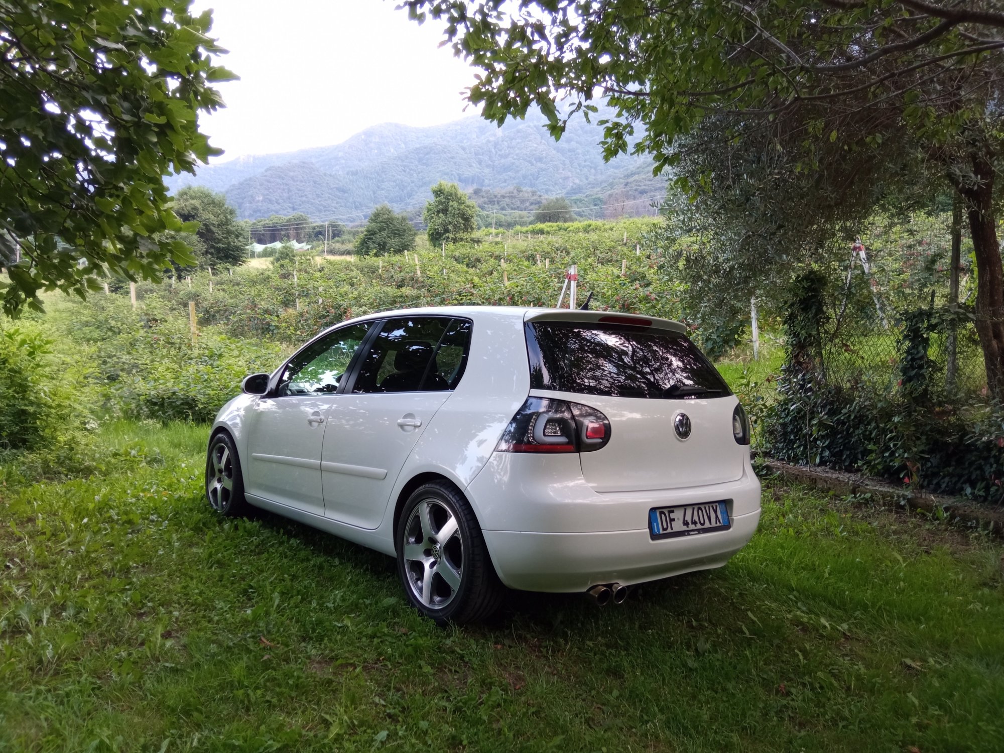 Numer rejestracyjny DF440YX posiada FIAT Panda 2a serie Panda 1.2 Dynamic Natural Power (44 kw)