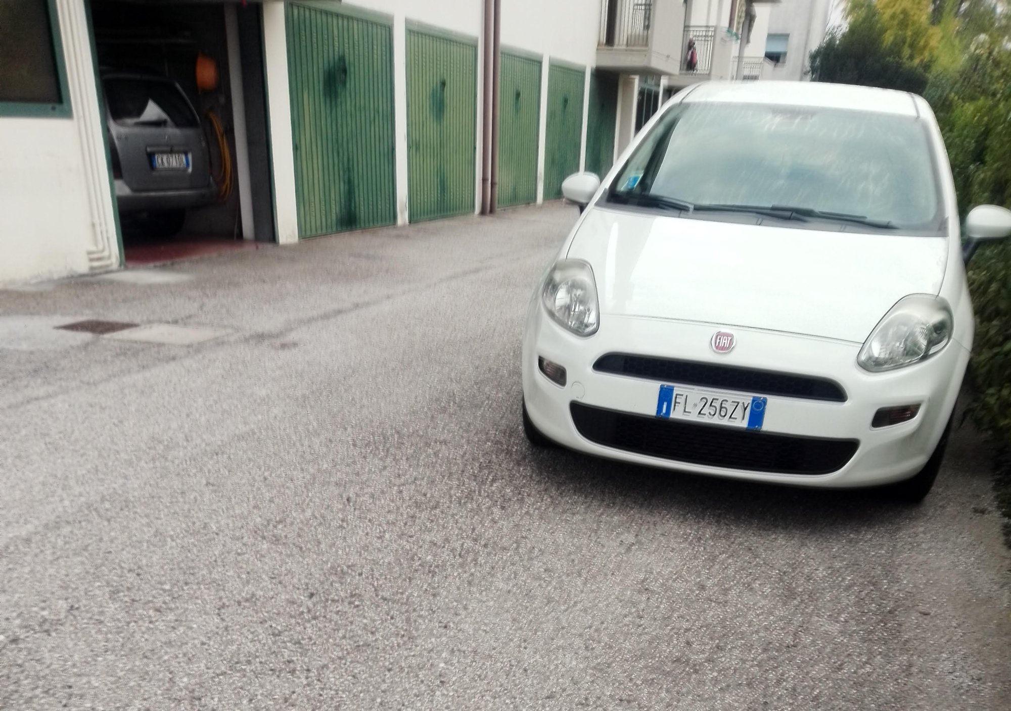 Numer rejestracyjny FL256ZY posiada FIAT Punto 4a serie