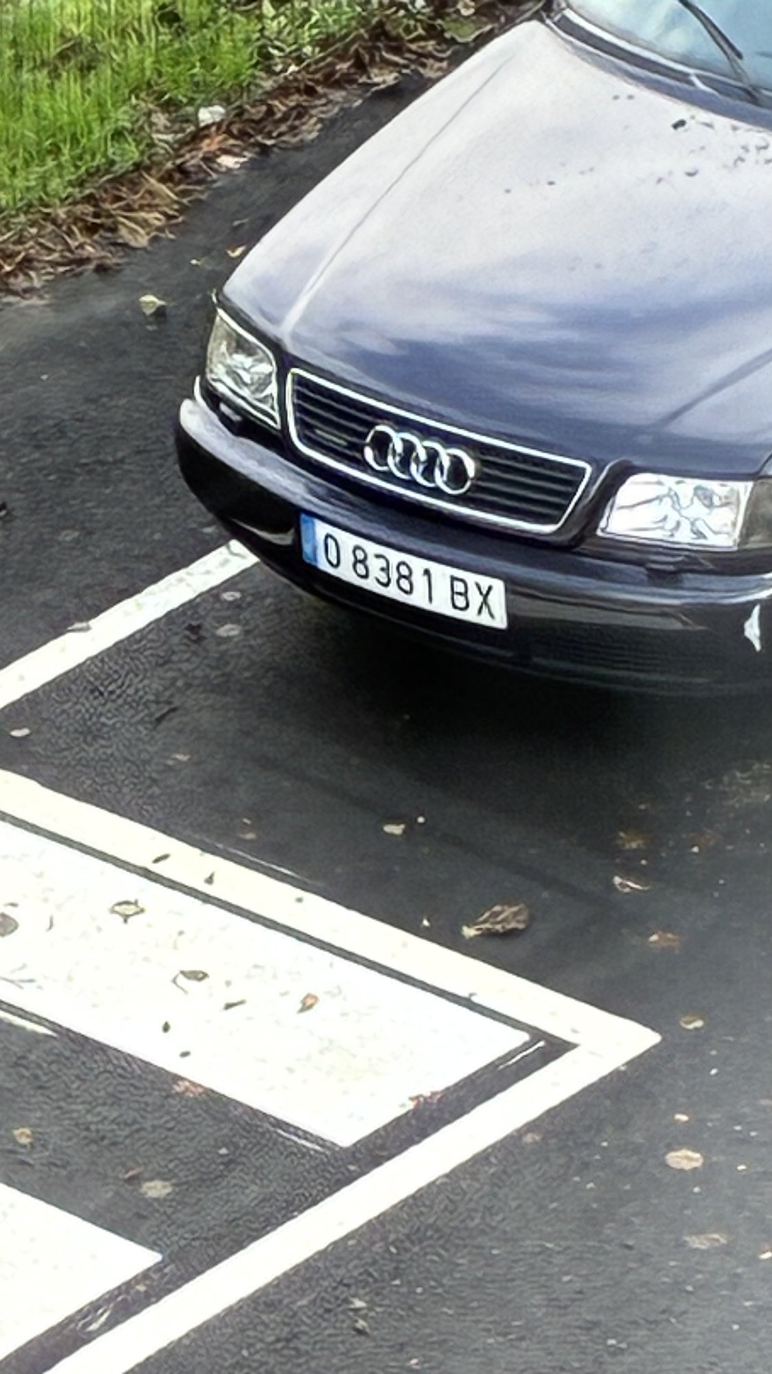 Numer rejestracyjny O8381BX posiada AUDI A6